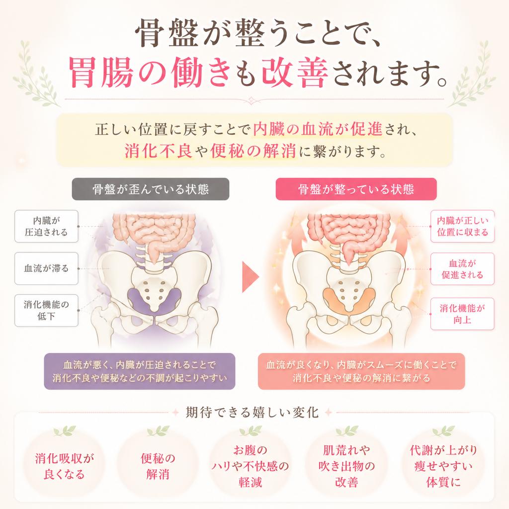 健康な胃腸を目指す